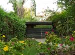 front garden 3